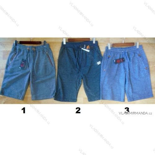 Shorts men's shorts (m-xxl) BENTER BES2428593