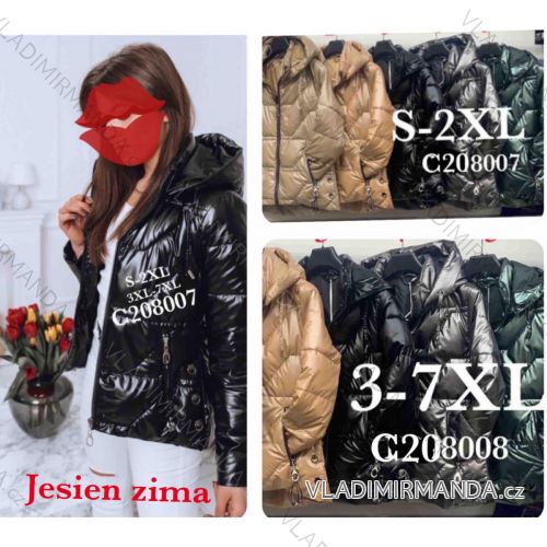 Women's Hooded Jacket (XS-XL) POLISH FASHION PMWC23C208219