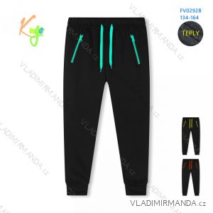 Warm tracksuits for boys (134-164) KUGO FV9202B