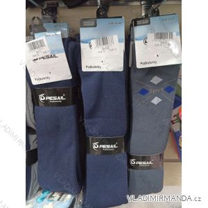 Thermal Thermo Cotton Men's Socks (40-47) PESAIL PES21SN104PIVO