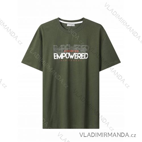 T-shirt short sleeve men's (M-2XL) GLO-STORY GLO24MPO-3536