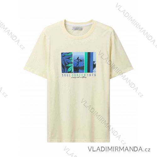 T-shirt short sleeve men's (M-2XL) GLO-STORY GLO24MPO-3498