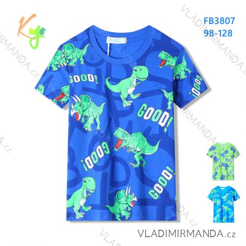 T-shirt short sleeve children's boys (98-128) KUGO HC0699