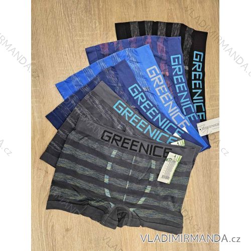 Men's Boxer Shorts Plus Size (XL/2XL) GREENICE GREE244587