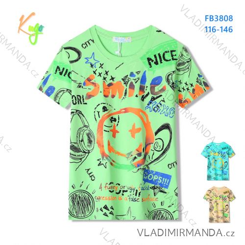 T-shirt short sleeve children's boys (98-128) KUGO FB3808