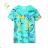 T-shirt short sleeve children's boys (98-128) KUGO FB3808