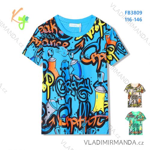 T-shirt short sleeve children's boys (98-128) KUGO FB3808