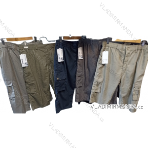 Men's shorts (L-4XL) HUA242008CZ