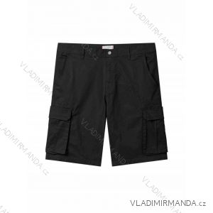 Men's shorts (M-2XL) GLO-STORY GLO24MMK-4391-1