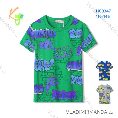 T-shirt short sleeve children's boys (98-128) KUGO FB3808