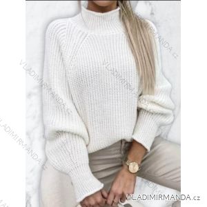 Women's Long Sleeve Turtleneck Knitted Sweater (XL/2XL ONE SIZE) ITALIAN FASHION IMD22948