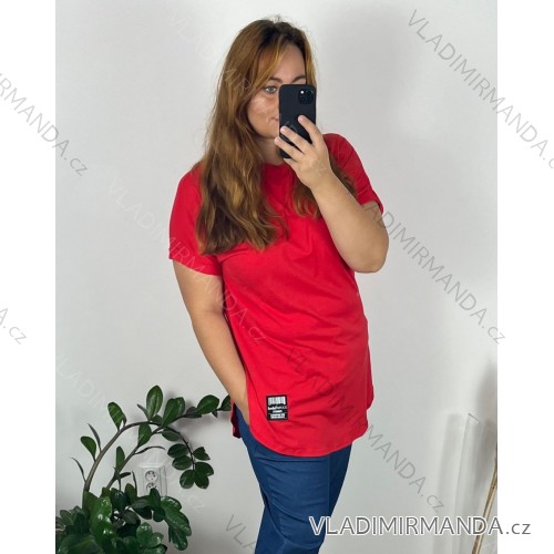 Women's Plus Size Short Sleeve Tunic (2XL/3XL/4XL ONE SIZE) ITALIAN FASHION IMC23NATURA/DR