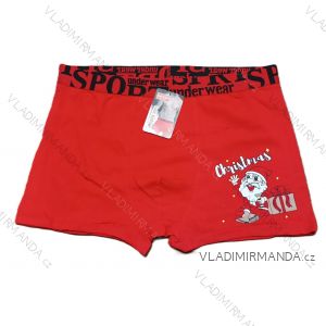 Men's Boxer (L-2XL) POLSKÁ MÓDA DPP24WD304