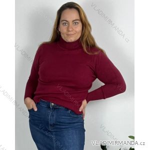 Turtleneck Sweater Long Sleeve Women's Plus Size (42/44/46/ONE SIZE) ITALIAN FASHION IM722217/DR