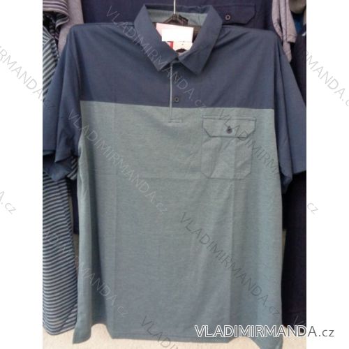 T-shirt with collar short sleeve men's oversized (l-4xl) BATY PNAM-XUOC-PHA
