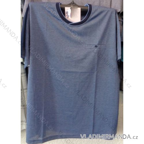 T-shirt short sleeve men's oversized (l-4xl) BATY PNAM-XUOC-T
