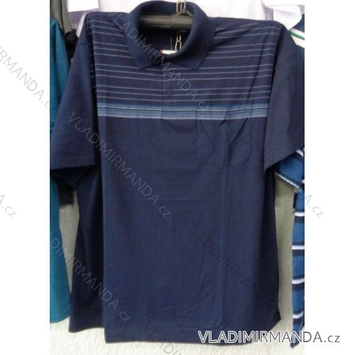 T-shirt with collar short sleeve men's oversized (l-4xl) BATY PNAM-SOCTREN-BE
