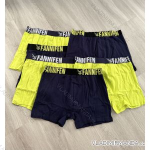 Men's boxer shorts cotton (L-3XL) FANNIFEN PES22G55450-K