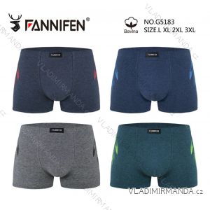 Men's cotton boxer shorts, oversized (L-3XL) FANNIFEN GRE24G5183