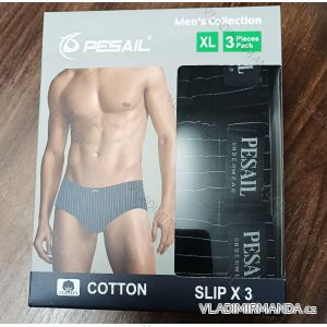 Men's briefs (L-3XL) PESAIL GRE25C8011