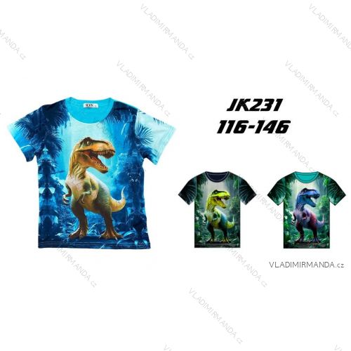 Short sleeve T-shirt for children and teenagers, boys (116-146) SEZON SEZ25JK-231