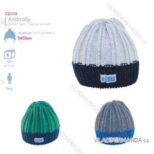 Caps winter baby boy boys (54-56) YO! CZ-114
