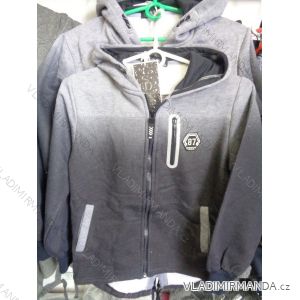 Hooded Sweatshirt warm boys (134-164) SAD CH-3827
