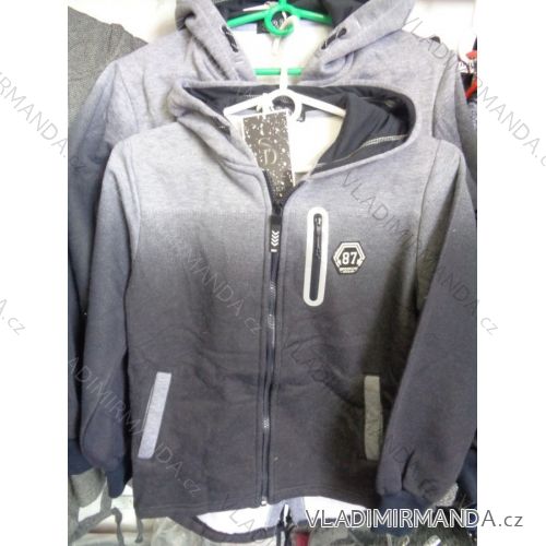 Hooded Sweatshirt warm boys (134-164) SAD CH-3827
