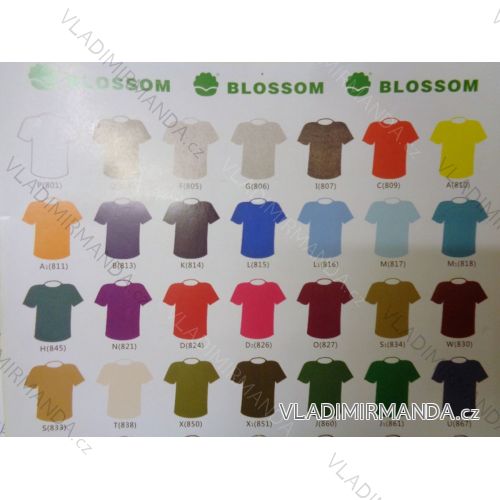 T-shirt short sleeve, boys, boys, men, ladies cotton 110g (104-4xl) BLOSSOM BL15
