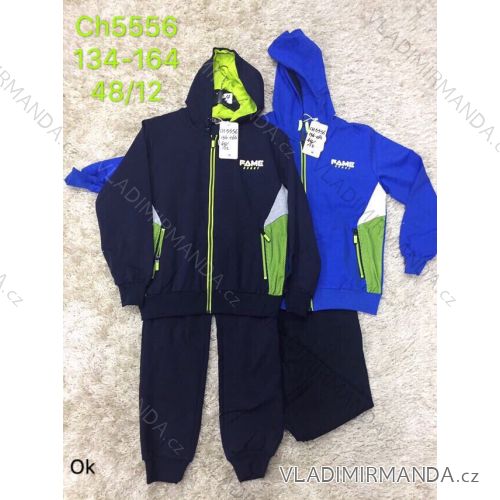 Boys' Tracksuit (134-164) SAD SAD19CH5556
