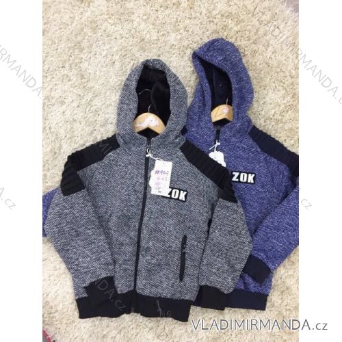 Sweatshirt warm baby boy (4-12 years) SAD SAD19KK947
