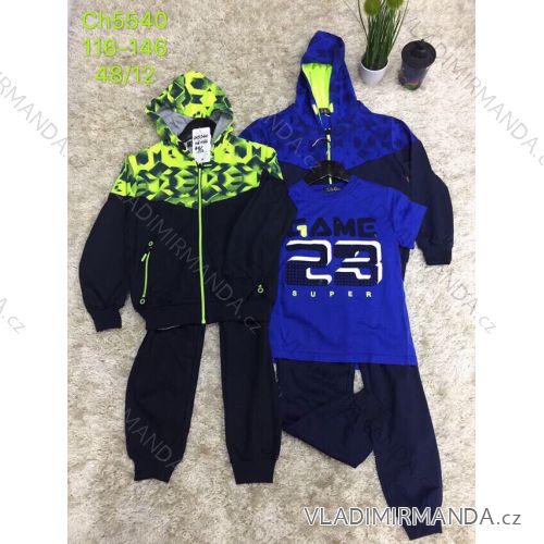 Tracksuit T-shirt short sleeve, sweatshirt, tracksuit long kid boy (116-146) SAD SAD19CH5540
