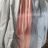Dress shirt long sleeveless summer women (uni sl) ITALIAN FASHION IM919684
