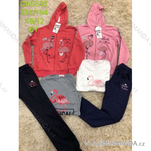 Girl's Tracksuit (134-164) SAD SAD19CH5832
