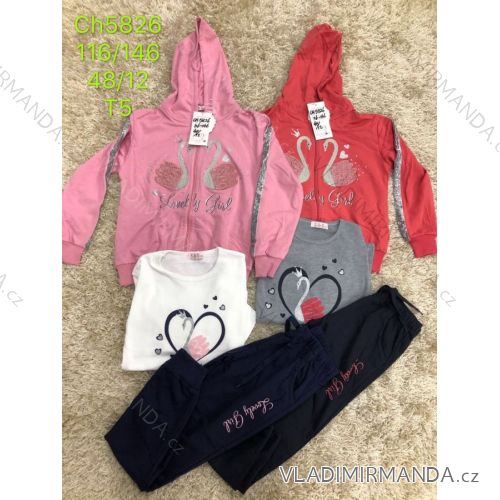 Tracksuit with T-shirt for adolescent girls (116-146) SAD SAD19CH5826