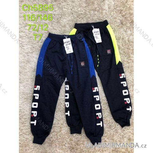 Boys' long youth pants (116-146) SAD SAD19CH5577