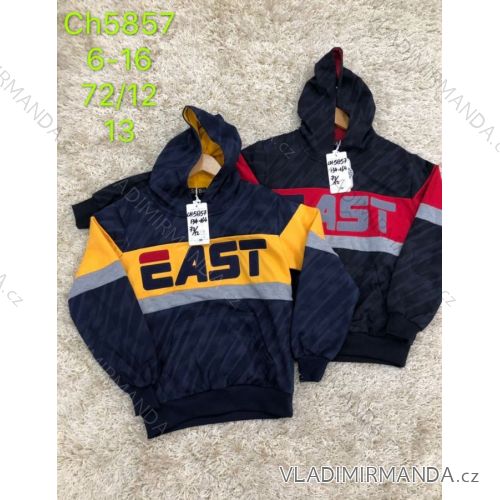 Children´s sweatshirt boys (6-16 years) SAD SAD19CH5857
