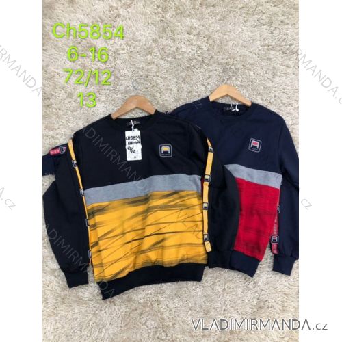 Children´s sweatshirt boys (6-16 years) SAD SAD19CH5854