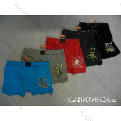 Boxers children's and youth boys (6-12 years old) WD WD0004
