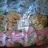 Baby Booties Slippers Baby + Boy (0-12m) AURA.VIA BM166