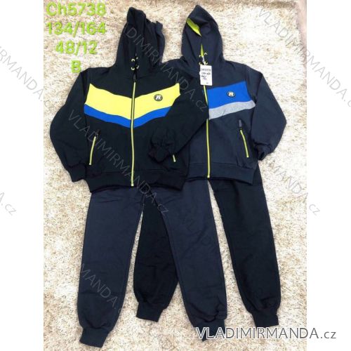 Boys' Tracksuit (134-164) SAD SAD19CH5738
