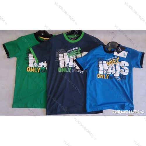 T-shirt short sleeve boys (134-164) PAL DA437
