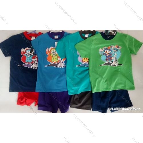 Pajama children's boys' cotton 98-128) COANDIN S1417
