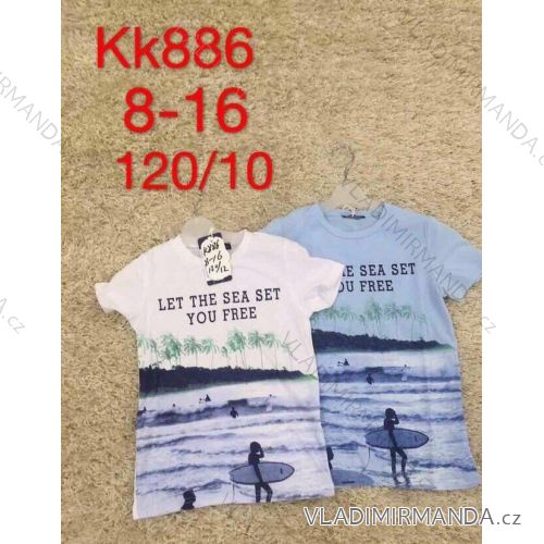 T-shirt short sleeve youth boys (8-16 years) SAD SAD20KK886