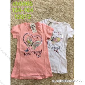 Girls' Short Sleeve T-Shirt (134-164) SAD SAD20CH5665