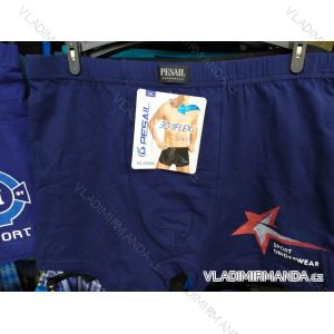 Men's cotton boxers (L-3XL) PESAIL PES20G55480
