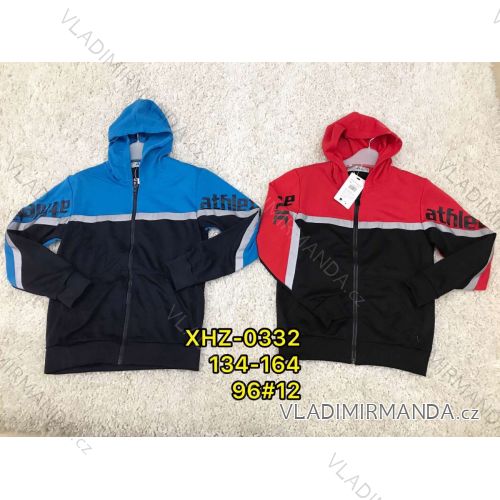 Zip hoodie teen boys (134-164) ACTIVE SPORT ACT21XHZ-0332