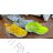 footwear catalog OBT210203