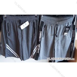 Men's tracksuit shorts (L-3XL) SAL SMILING SMI21001