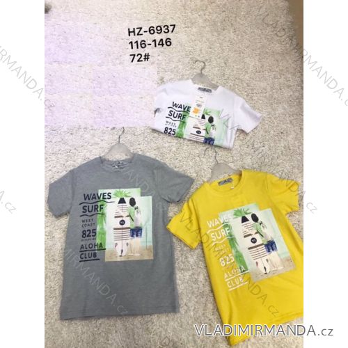 T-shirt short sleeve youth boys (134-164) ACTIVE SPORT ACT208P-8126